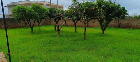 7-Zimmer Haus in Salve, Italy, Nr. 220361 37