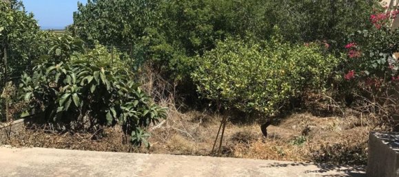 5-Zimmer Haus in Custonaci, Italy, Nr. 256229 9