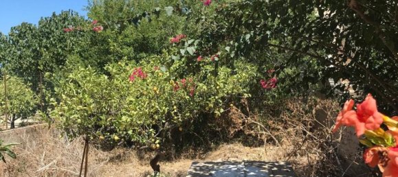 5-Zimmer Haus in Custonaci, Italy, Nr. 256229 4