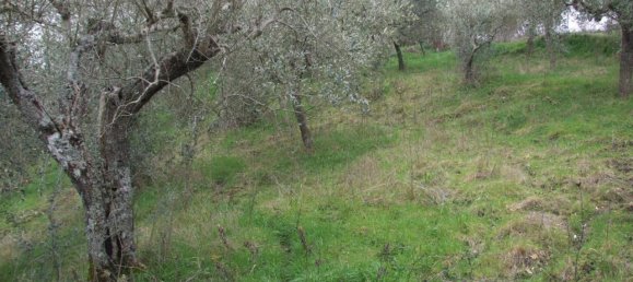 6 rooms Villa in Apice, Italy No. 35257 9