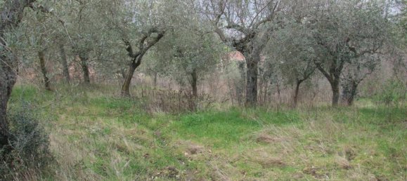 6 rooms Villa in Apice, Italy No. 35257 17