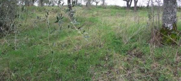 6 rooms Villa in Apice, Italy No. 35257 16