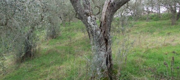 6 rooms Villa in Apice, Italy No. 35257 8