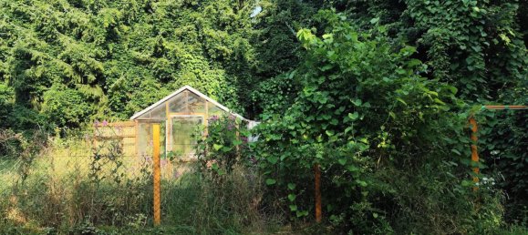 Casa de 5 habitaciónes en Gorlitz, Germany No. 260269 11