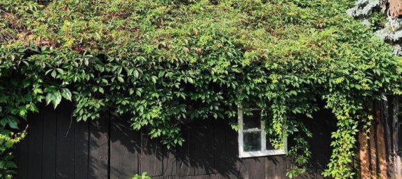 Casa de 5 habitaciónes en Gorlitz, Germany No. 260269 8