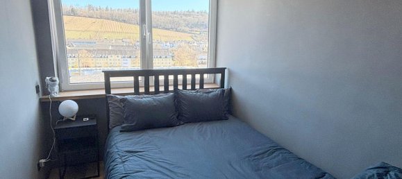 2 Schlafzimmer Penthouse in Trier, Germany, Nr. 227206 11