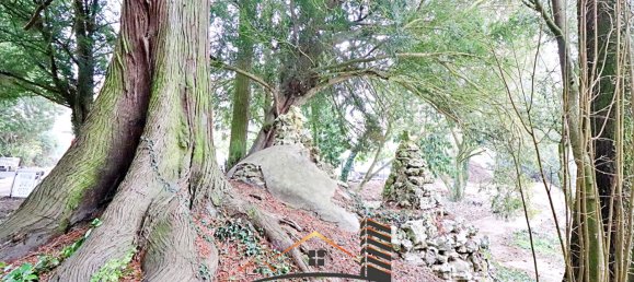 1 Schlafzimmer Wohnung in Lessy, France, Nr. 347734 8