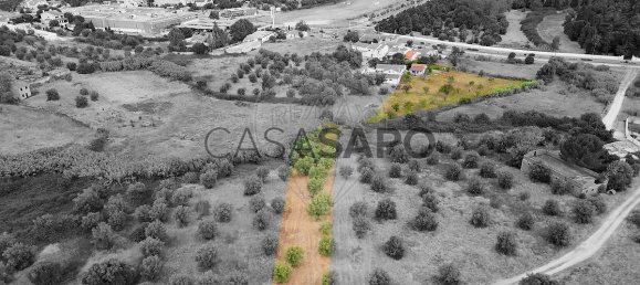 4 Schlafzimmer Haus in Tomar, Portugal, Nr. 322183 42