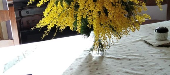 6 rooms Apartment in Giarre, Italy No. 278863 9