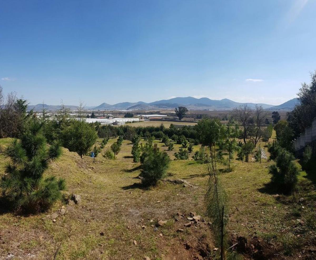  Land in Atlacomulco, Mexico No. 202896