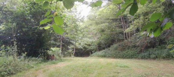 Terrain à Corrèze, France 3924m² No. 315622 2