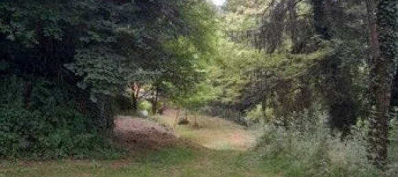 Terrain à Corrèze, France 3924m² No. 315622 5