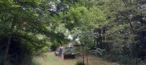 Terrain à Corrèze, France 3924m² No. 315622 3