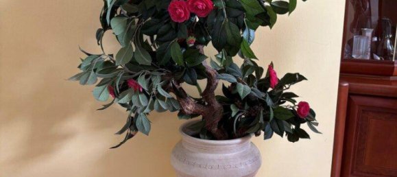 Пентхаус с 4 комнатами в Клагенфурт ам Вёртерзе, Австрия № 233674 11