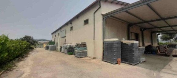  عقار تجاري في Oliena, Italy 1156متر مربع رقم 374760 2