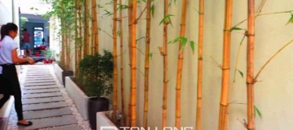 1 Schlafzimmer Wohnung in Ba Dinh, Vietnam, Nr. 2365 3