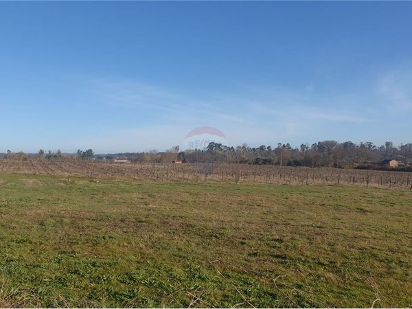 Terrain à Tondela, Portugal 990m² No. 51619