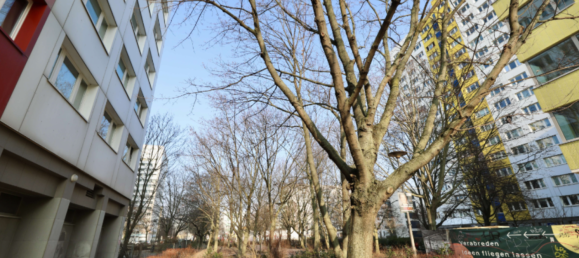 1 chambre Appartement à Mitte, Germany No. 323389 7