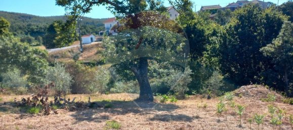 2 غرف نوم منزل في Figueiro dos Vinhos, Portugal رقم 18861 8