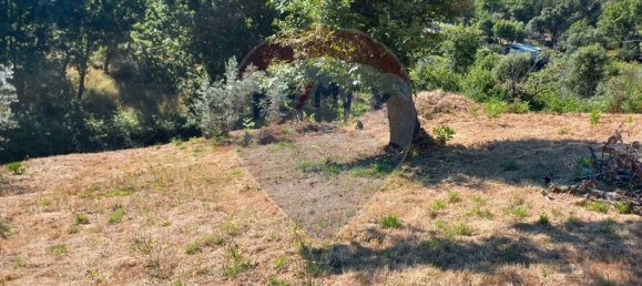 2 غرف نوم منزل في Figueiro dos Vinhos, Portugal رقم 18861 11