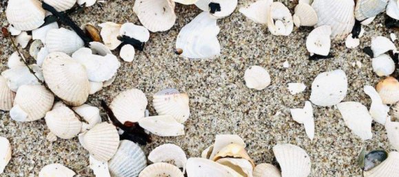 Dúplex de 2 habitaciónes en Vorpommern-Rugen, Germany No. 226870 18