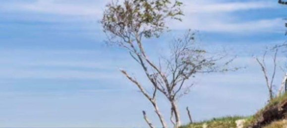 Dúplex de 2 habitaciónes en Vorpommern-Rugen, Germany No. 226870 19