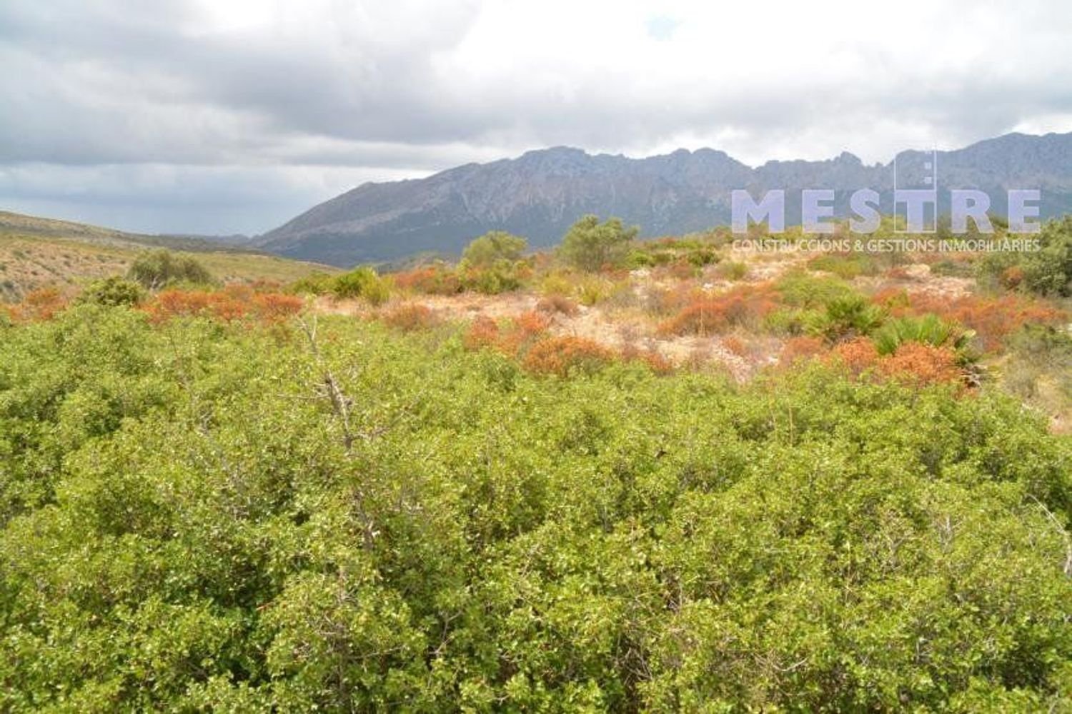 Grundstück in Lliber, Spain 38000m², Nr. 96789