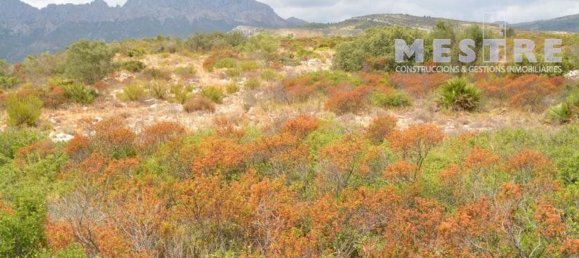 Grundstück in Lliber, Spain 38000m², Nr. 96789 2