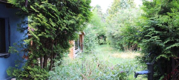  Land in Perchtoldsdorf, Austria No. 242966 2