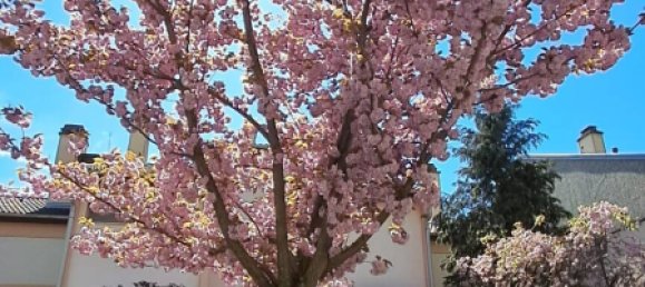 3 Schlafzimmer Wohnung in Pfastatt, France, Nr. 91821 15