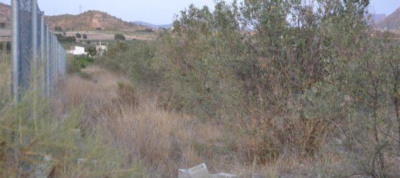 Дом с 1 спальней в Салинас, Испания № 186755 4