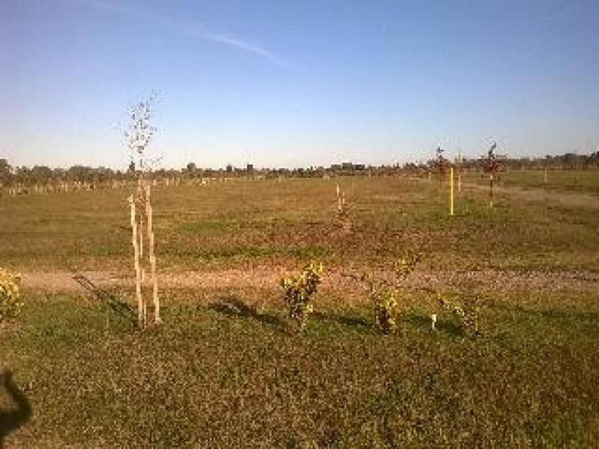  Land in Santa Fe, Argentina No. 50821