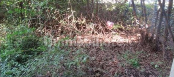 Квартира с 2 спальнями в Васто, Италия № 271391 7