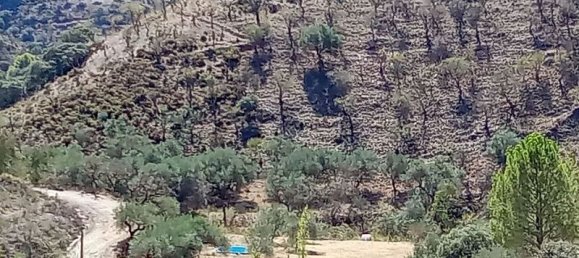 Terrain à Malaga, Spain 5000m² No. 182176 4