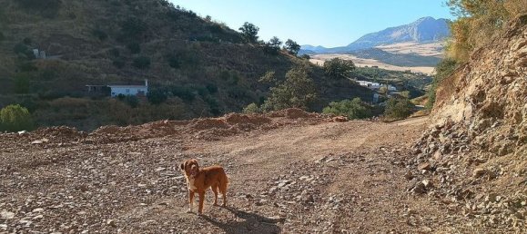 Terrain à Malaga, Spain 5000m² No. 182176 9