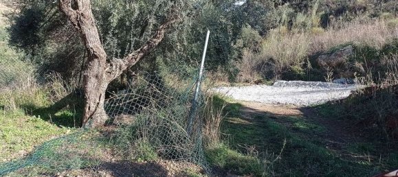 Terrain à Malaga, Spain 5000m² No. 182176 5