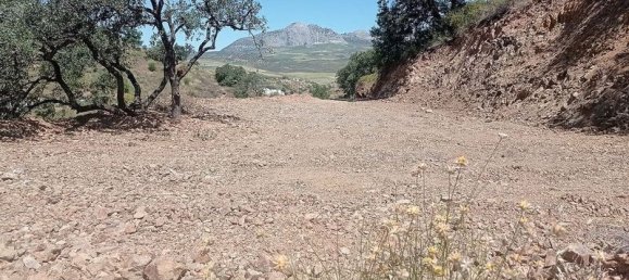 Terrain à Malaga, Spain 5000m² No. 182176 3