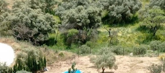 Terrain à Malaga, Spain 5000m² No. 182176 7