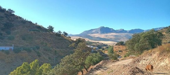 Terrain à Malaga, Spain 5000m² No. 182176 11