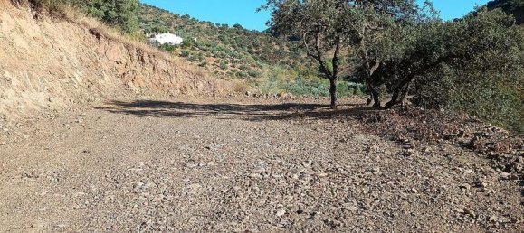 Terrain à Malaga, Spain 5000m² No. 182176 13