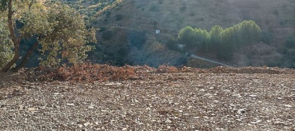 Terrain à Malaga, Spain 5000m² No. 182176 12