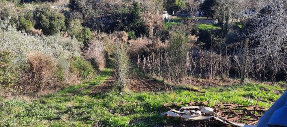 5000m² Land in Livorno, Italy No. 66885 2