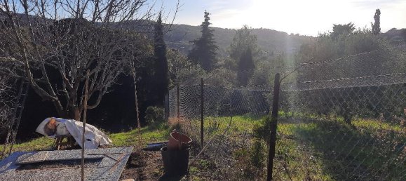 5000m² Land in Livorno, Italy No. 66885 4