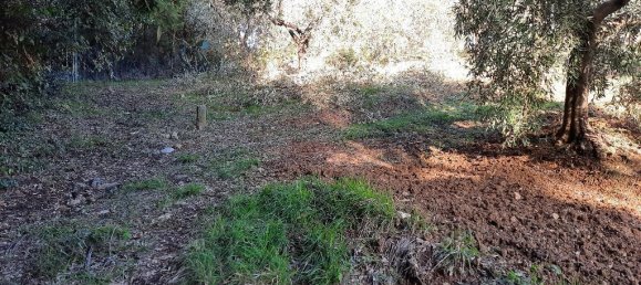 5000m² Land in Livorno, Italy No. 66885 7