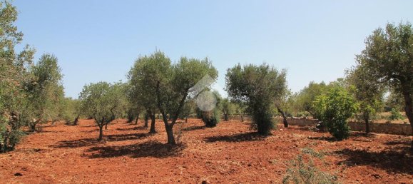 2 غرف نوم فيلا في Ostuni, Italy رقم 263988 30