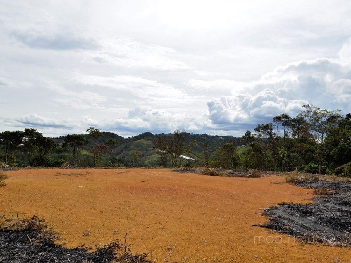 Grundstück in Antioquia, Colombia, Nr. 410