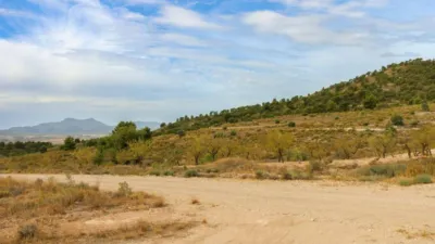 164304m² Land in Jumilla, Spain No. 240093