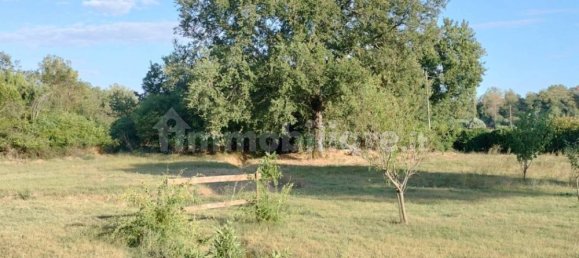 4 Schlafzimmer Haus in Manciano, Italy, Nr. 259489 46