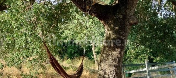 4 Schlafzimmer Haus in Manciano, Italy, Nr. 259489 9