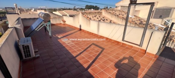 3 chambres Villa à Guardamar del Segura, Spain No. 28919 32